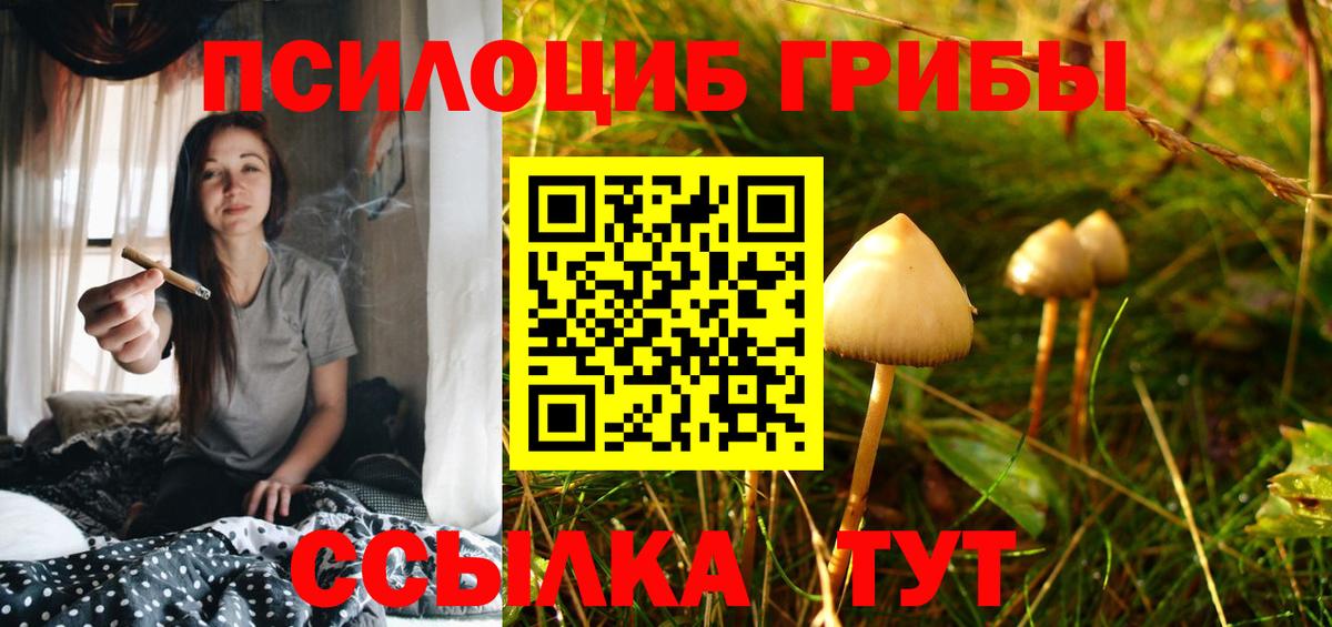Новосибирск  Галлюциногенные грибы Cubensis  Вход с VPN 